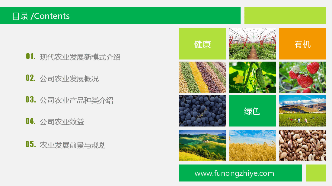农业招商农产品宣传PPT模板.pptx,第2页预览