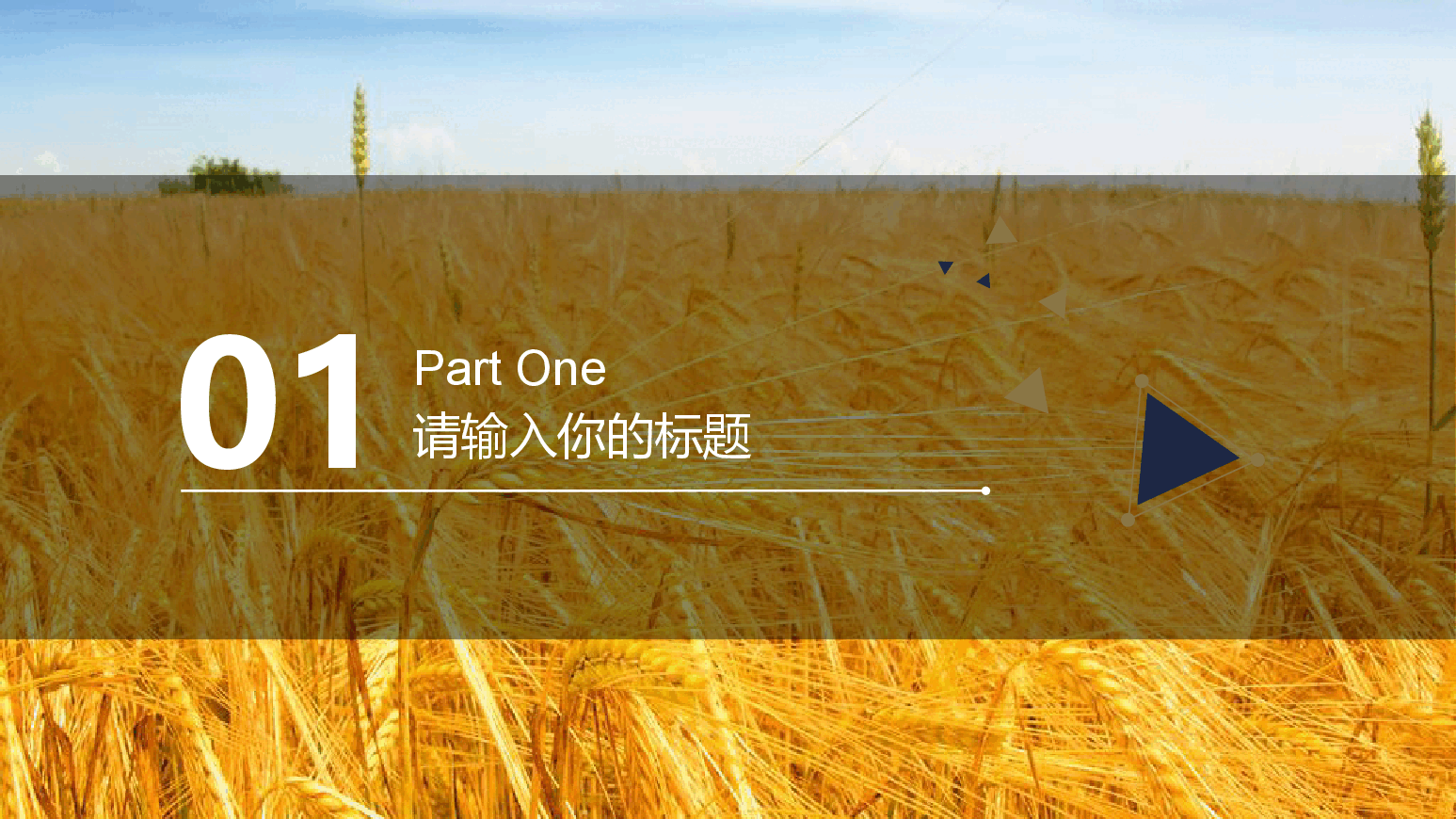 农业发展工作总结PPT.pptx,第3页预览