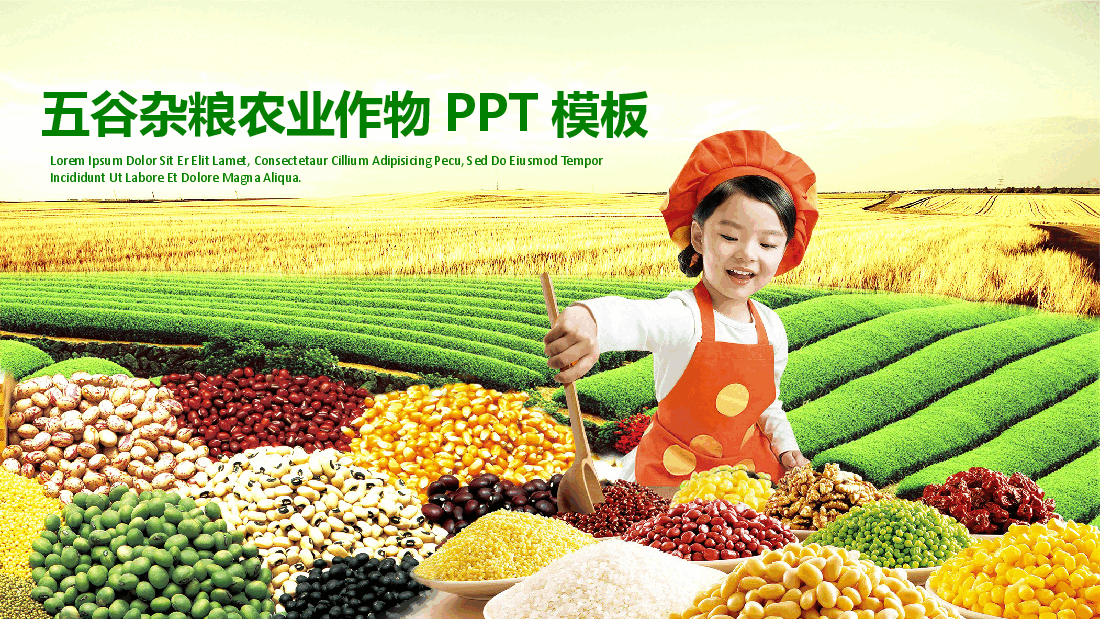 五谷杂粮农业作物PPT模板.pptx,第1页预览