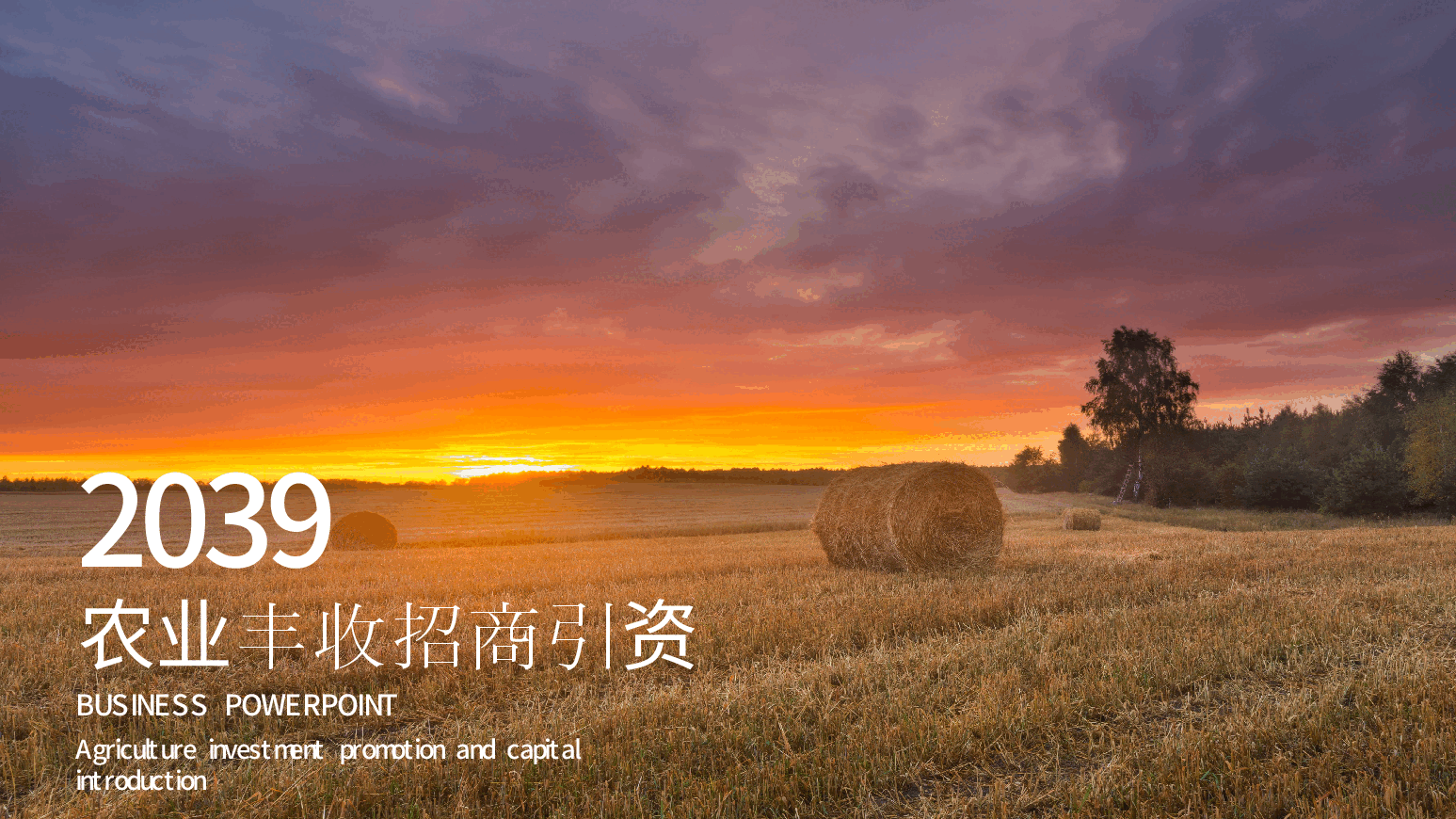 农业丰收招商引资PPT (2).pptx,第1页预览