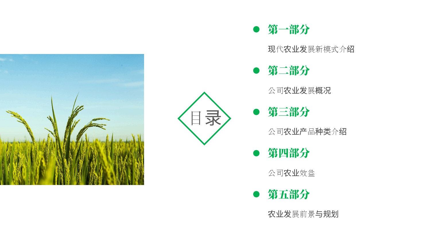 农业招商农产品宣传PPT模板 (2).pptx,第3页预览