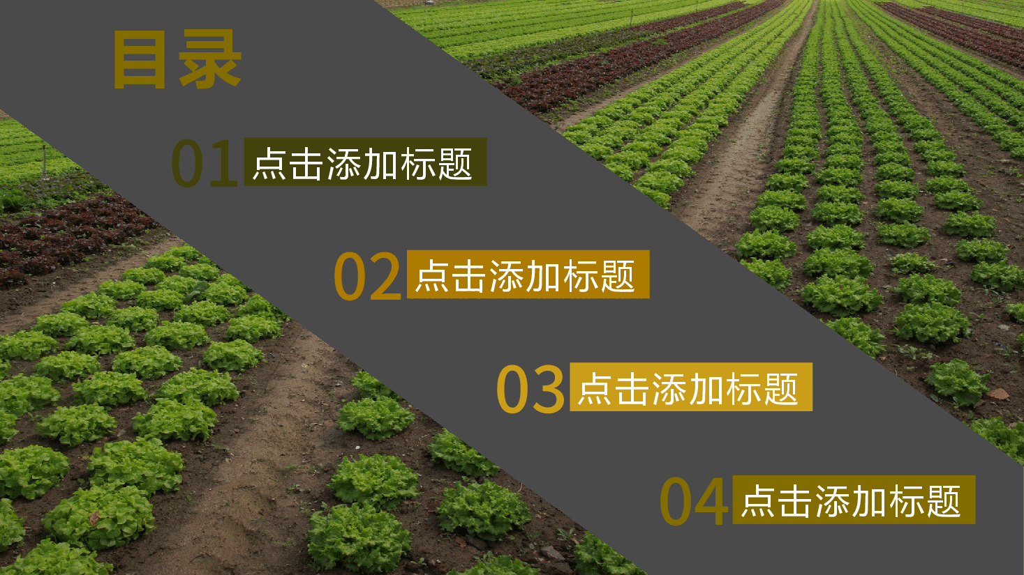 农业行业工作汇报PPT.pptx,第2页预览