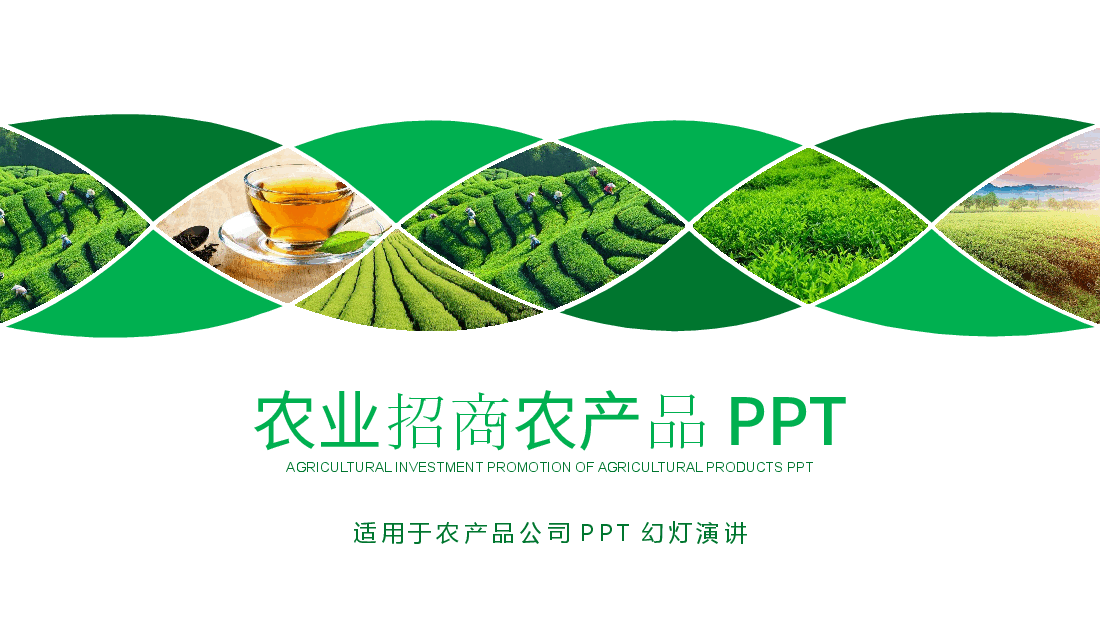农业招商农产品PPT.pptx,第1页预览