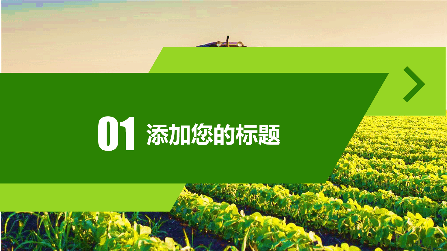 绿色生态农业招商农产品宣传PPT模板 (2).pptx,第3页预览