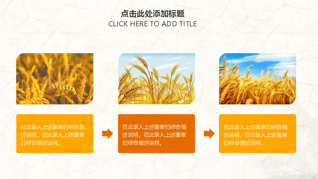金色农业丰收小麦模板PPT.pptx,第4页预览