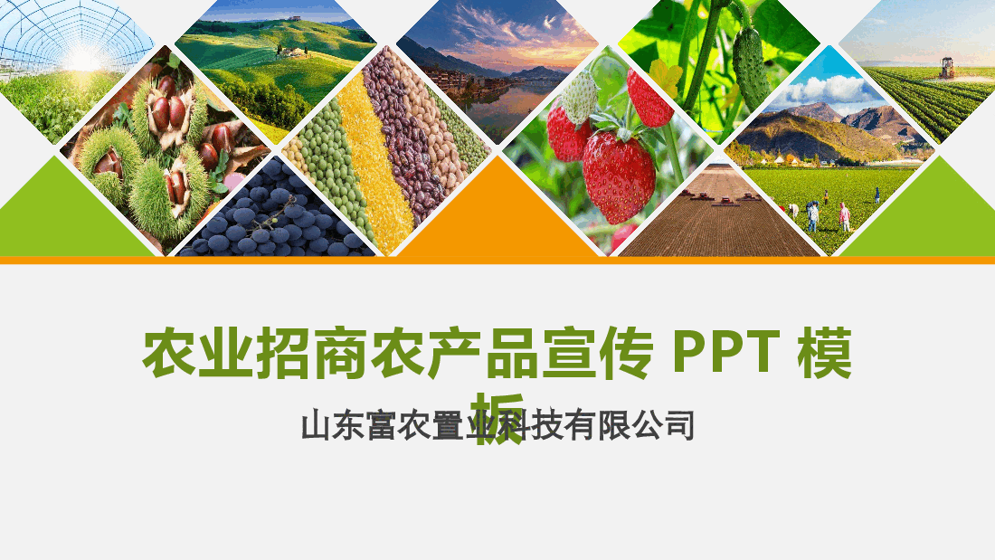农业招商农产品宣传PPT模板.pptx,第1页预览