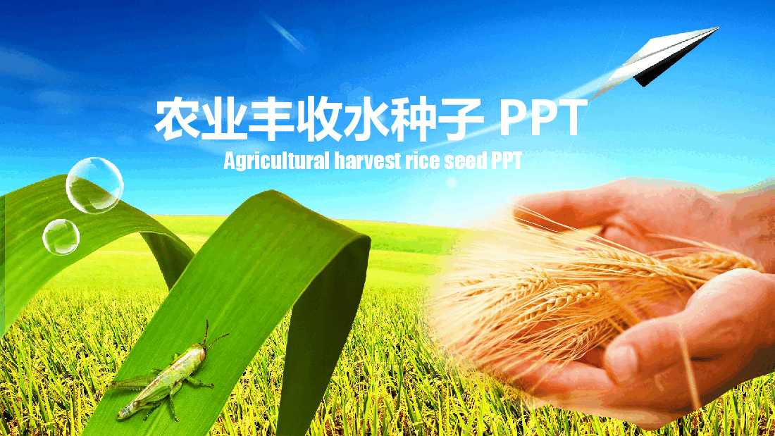 农业丰收水种子PPT.pptx,第1页预览