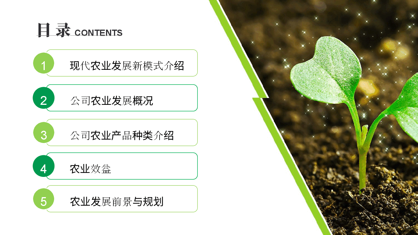 农业招商农产品宣传PPT模版.pptx,第2页预览