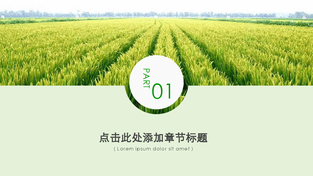 绿色农业生产种植PPT.pptx,第3页预览