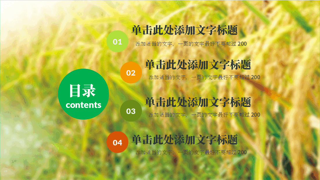 农业水玉米小麦PPT.pptx,第2页预览