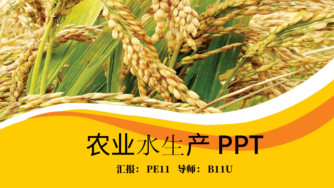 农业水生产PPT.pptx,第1页预览