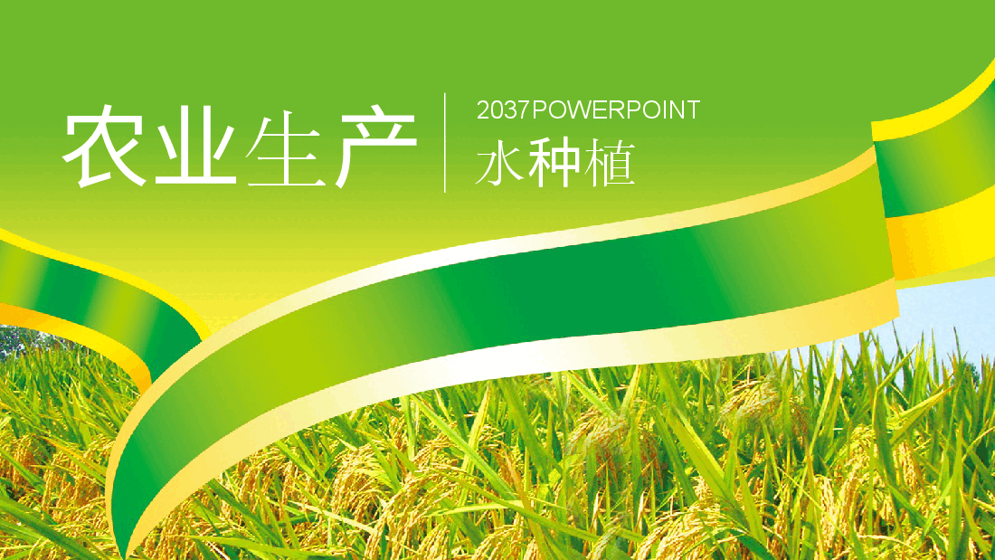 农业生产水种植PPT.pptx,第1页预览