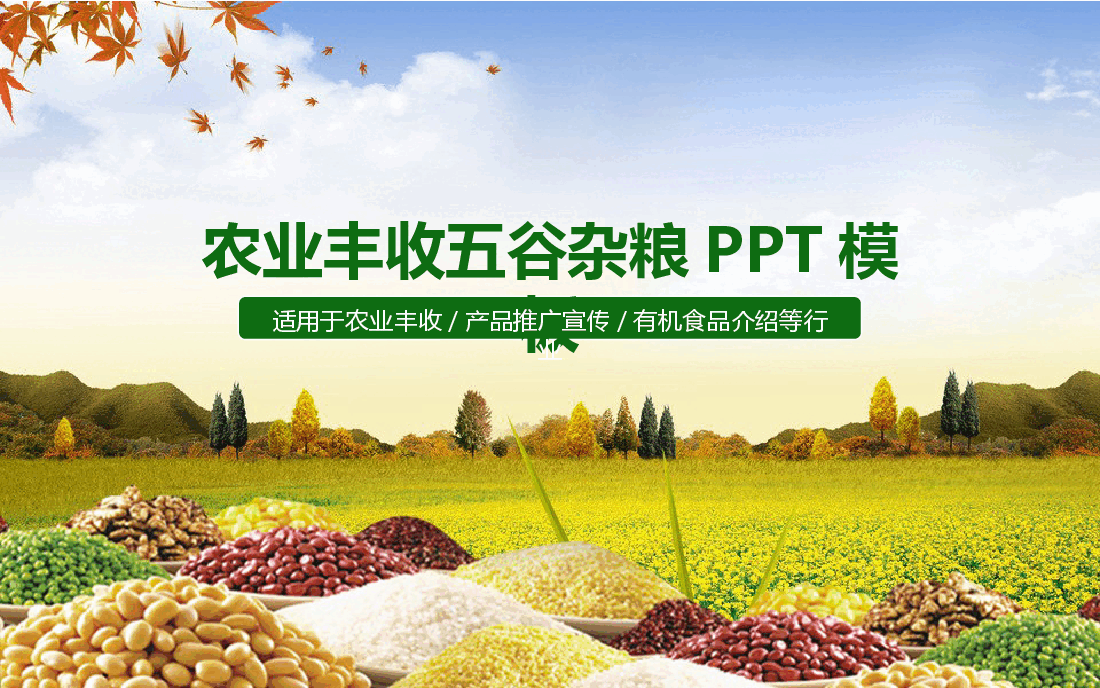 农业丰收五谷杂粮PPT模板.pptx,第1页预览