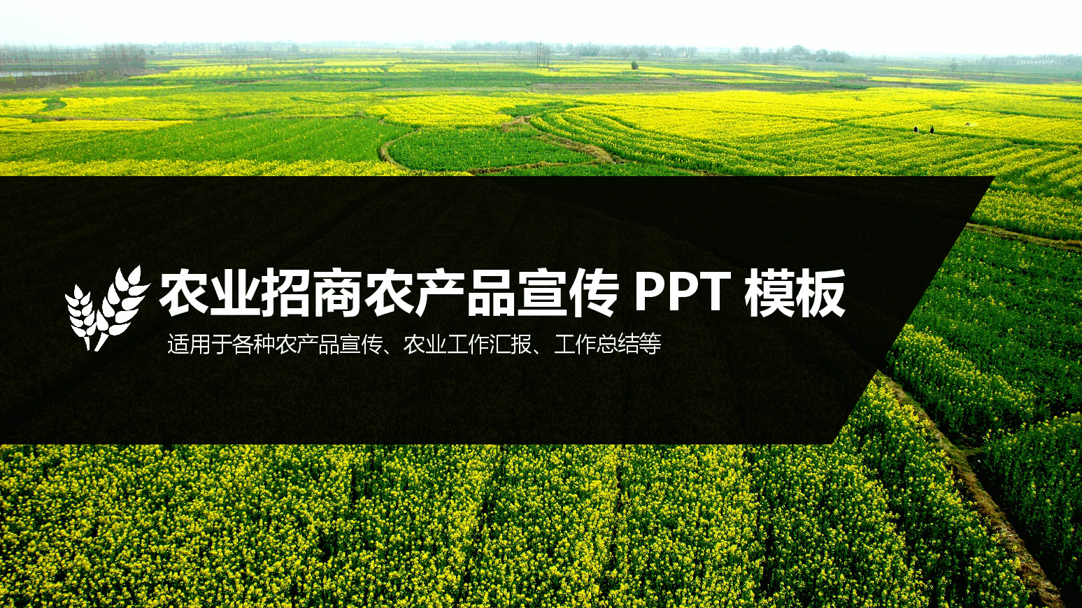 农业招商农产品宣传PPT模板 (5).pptx，第1页预览