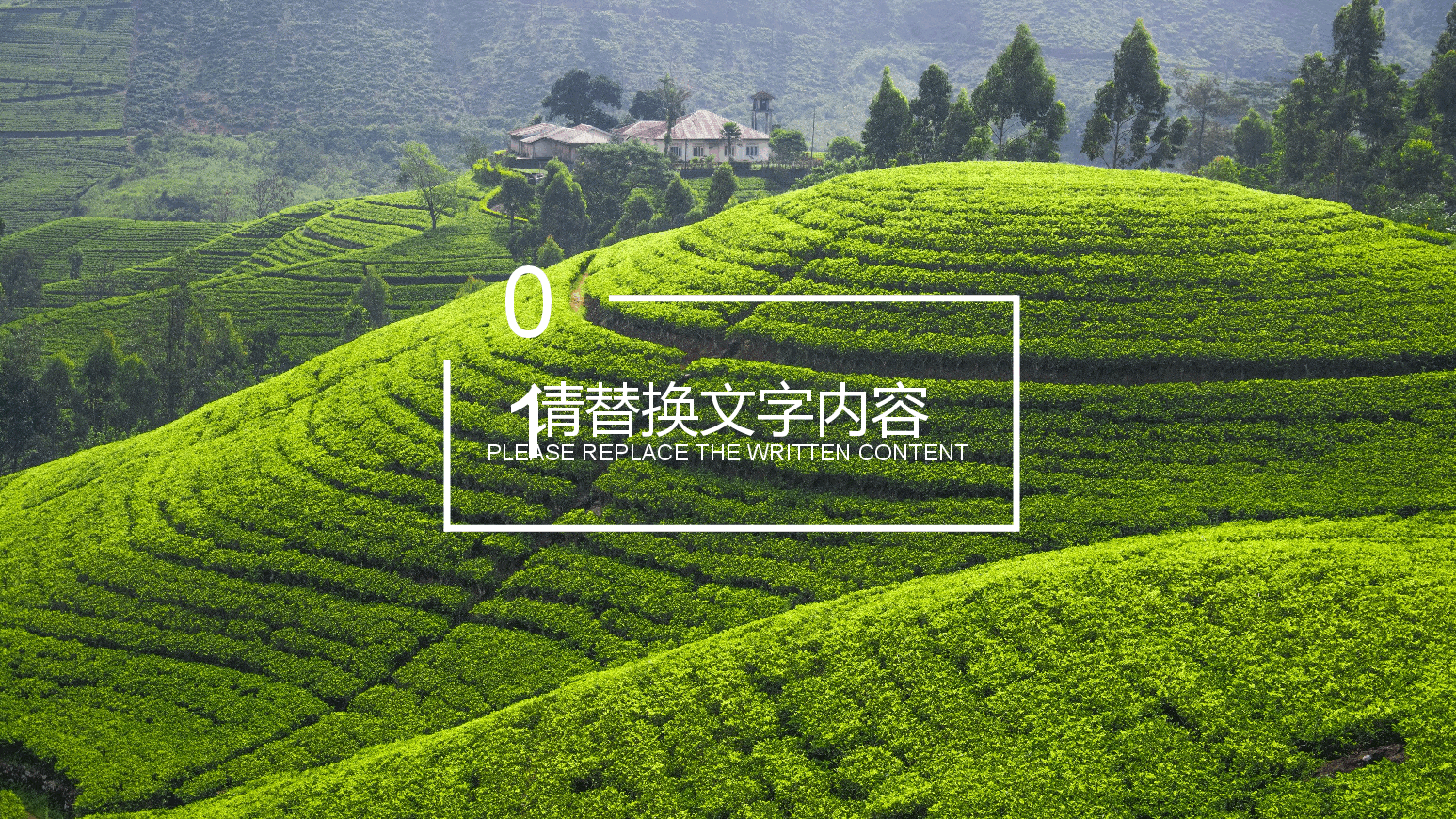 农业招商农产品宣传PPT (2).pptx,第3页预览