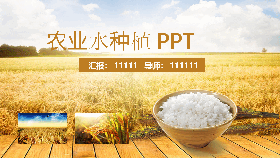 农业水种植PPT.pptx,第1页预览