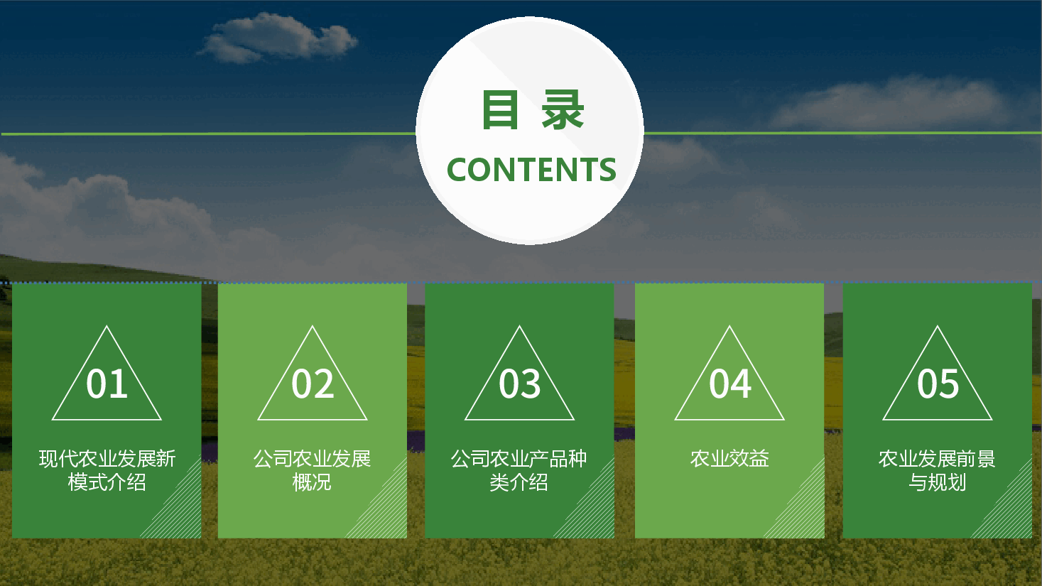 农业招商农产品宣传ppt模板 (4).pptx,第2页预览