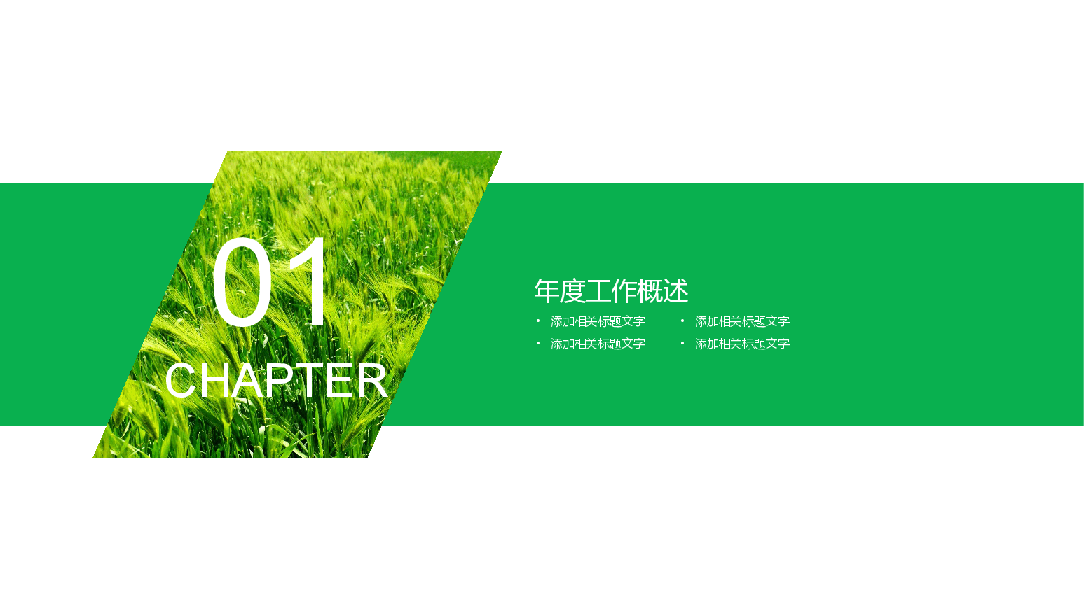 农业生产招商引资PPT.pptx,第3页预览