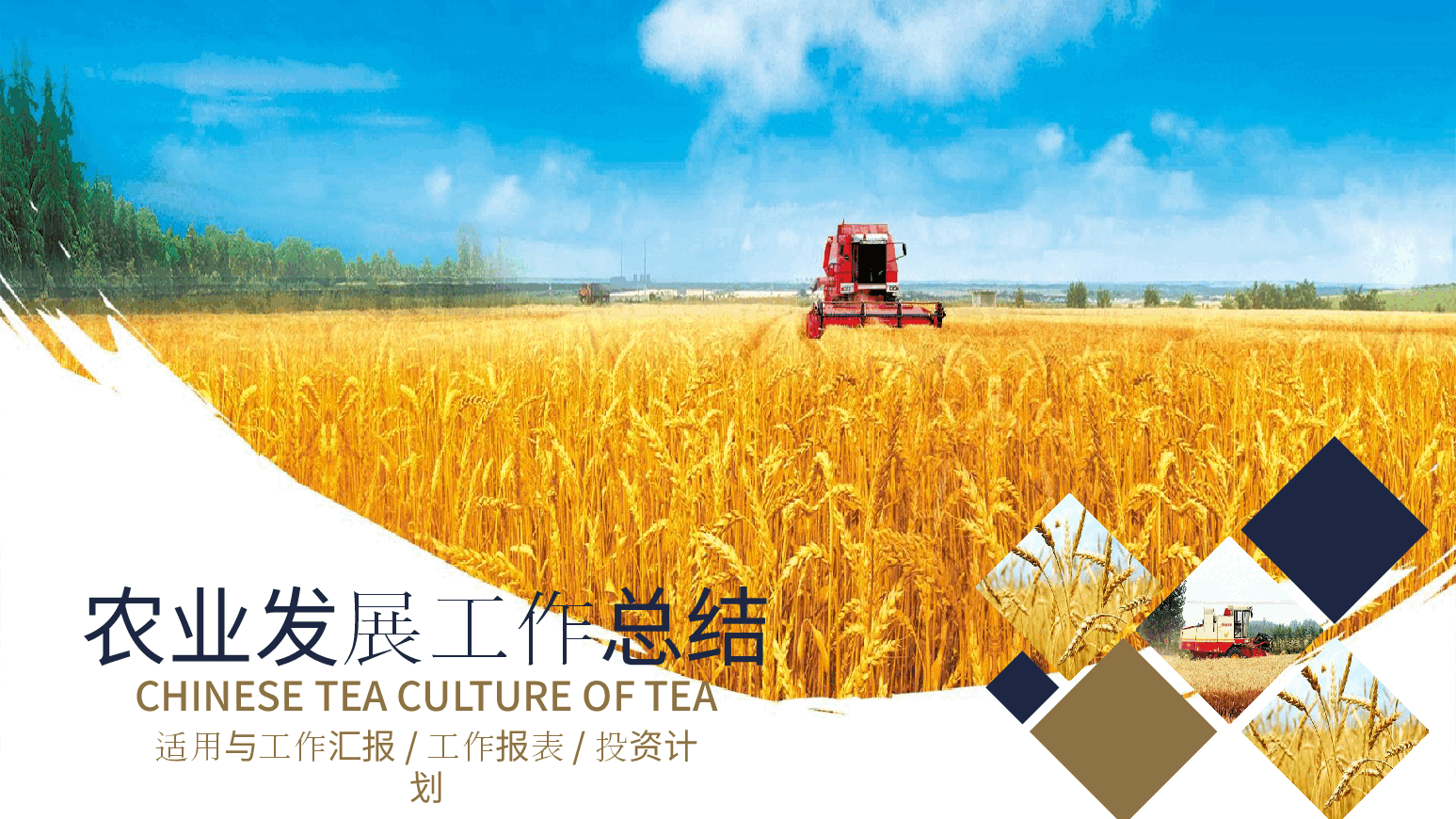 农业发展工作总结PPT.pptx,第1页预览