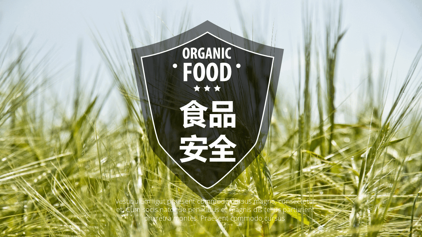农业粮食食品安全PPT.pptx,第1页预览