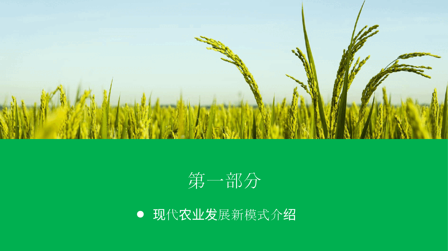 农业招商农产品宣传PPT模板 (2).pptx,第4页预览