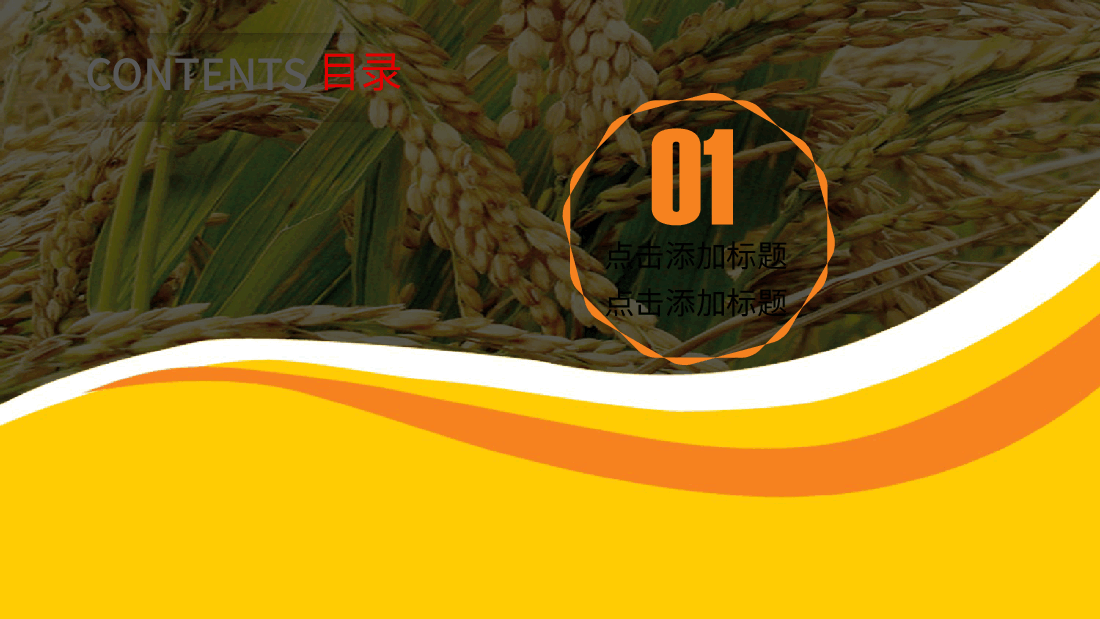农业水生产PPT.pptx,第3页预览