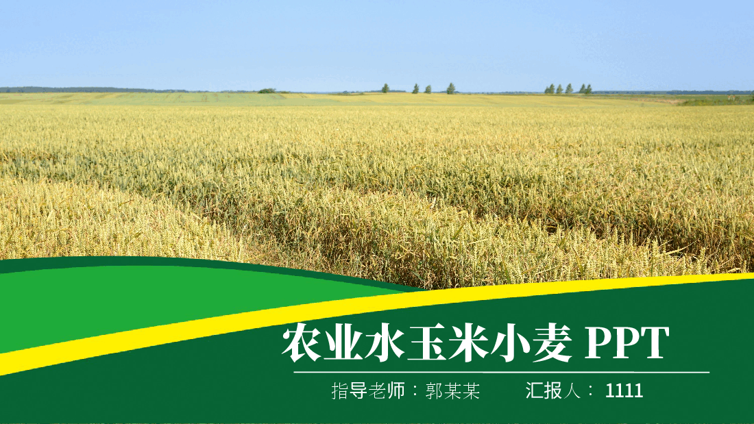 农业水玉米小麦PPT.pptx,第1页预览