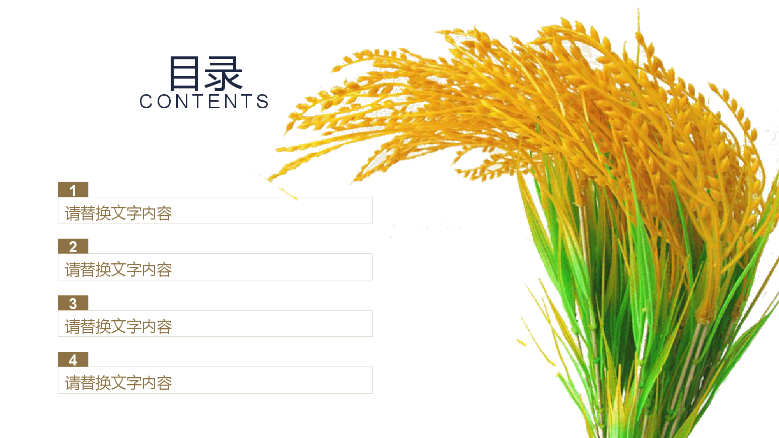 农业发展工作总结PPT.pptx,第2页预览