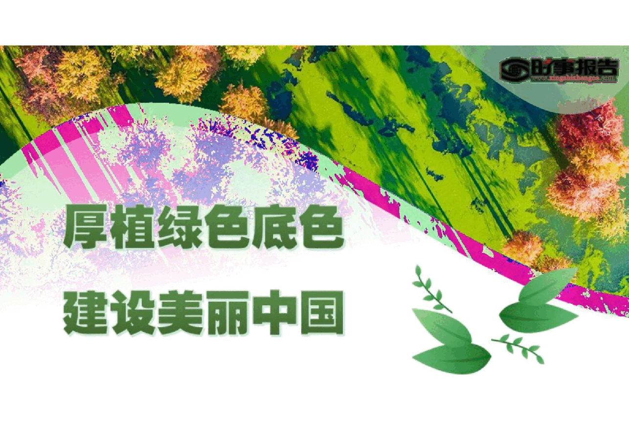 2025年春季学期 形势与政策 第四讲 厚植绿色底色 建设美丽中国.pdf,第1页预览