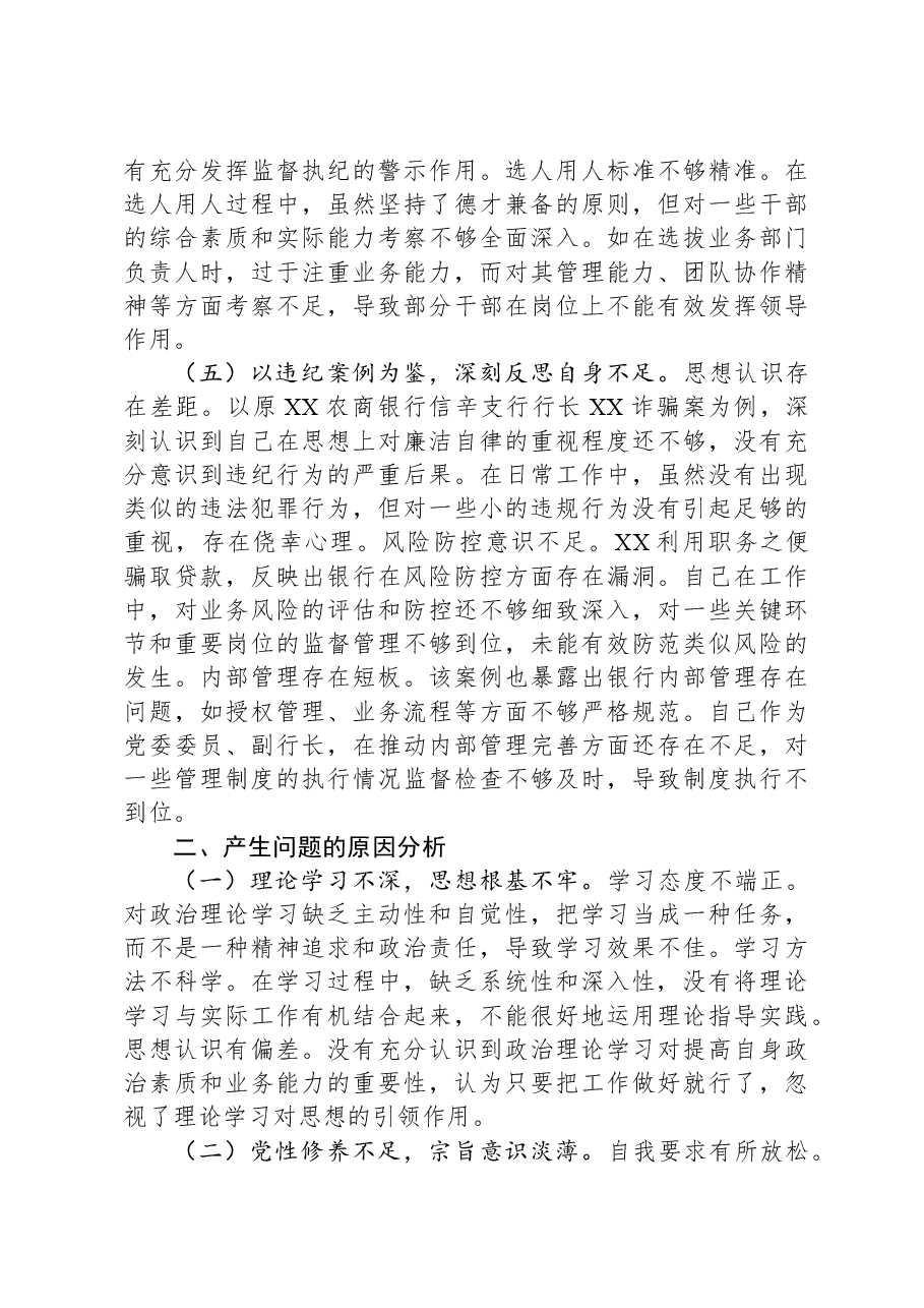 2024年度民主生活会个人对照检视发言材料（银行党委委员、副行长）.docx，第3页预览