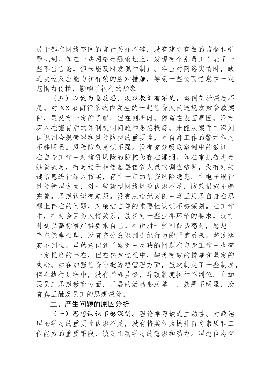 银行党委委员2024年度民主生活会个人对照检视发言材料.docx,第4页预览