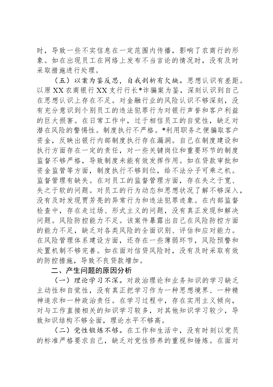 党委副书记、行长2024年度民主生活会个人对照检视发言材料.docx，第4页预览