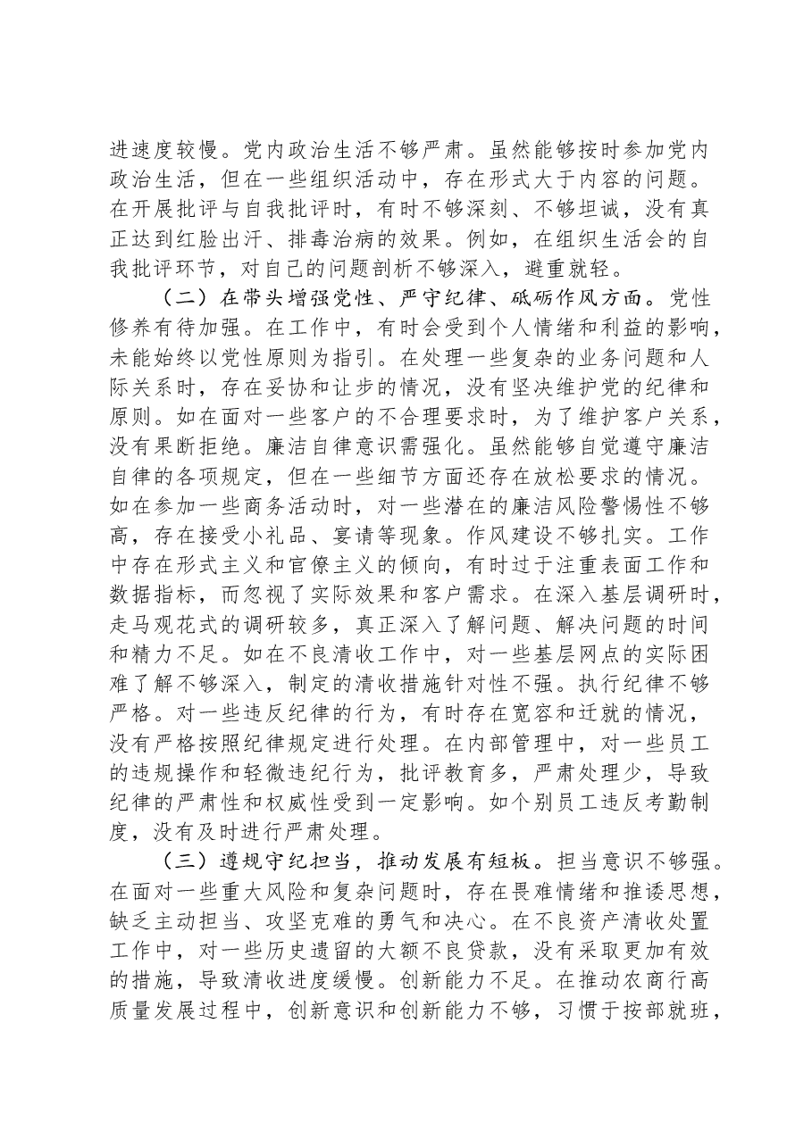 党委副书记、行长2024年度民主生活会个人对照检视发言材料.docx，第2页预览