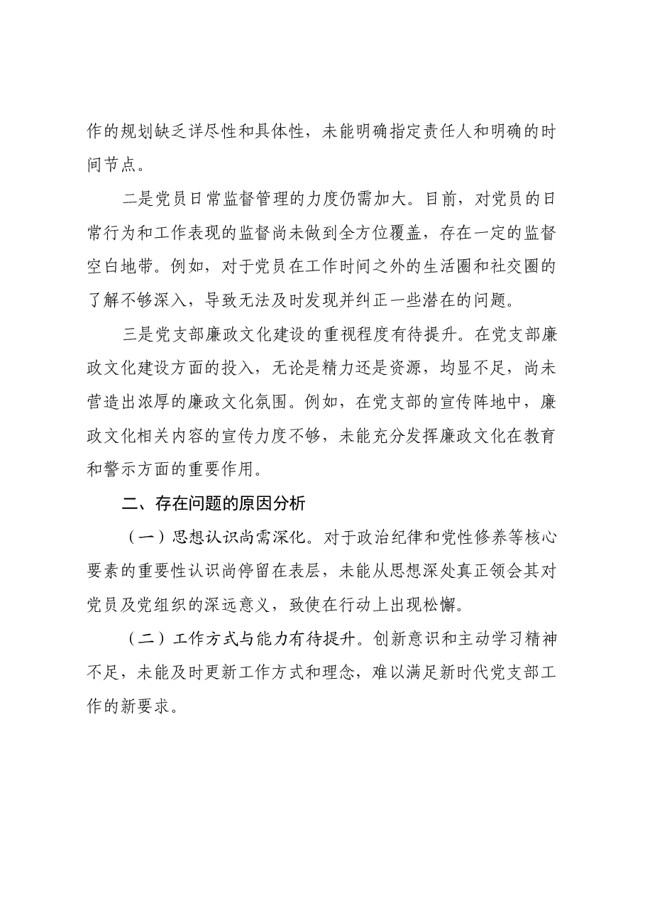 党支部书记2024年组织生活会个人对照检查发言材料(2).docx,第4页预览