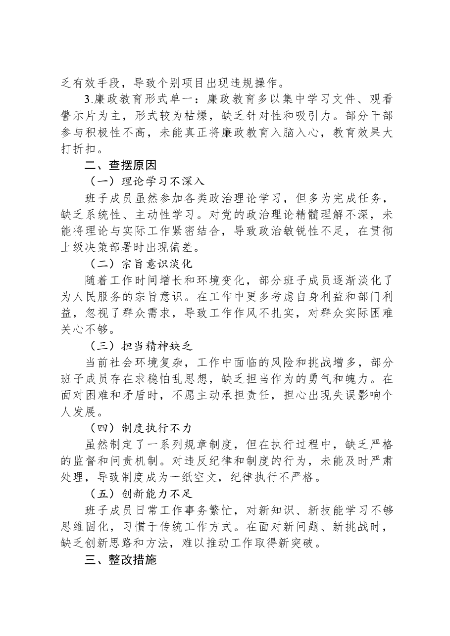2024年度民主生活会县领导班子对照检查材料.docx,第3页预览