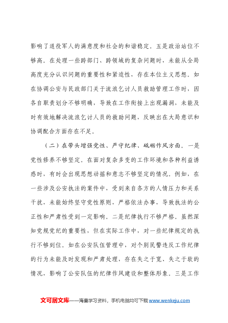 副市长、公安局长2024年度民主生活会个人对照检查.docx,第3页预览