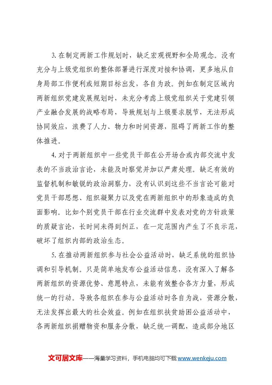 两新党工委2024年民主生活会存在问题和意见建议.docx,第2页预览
