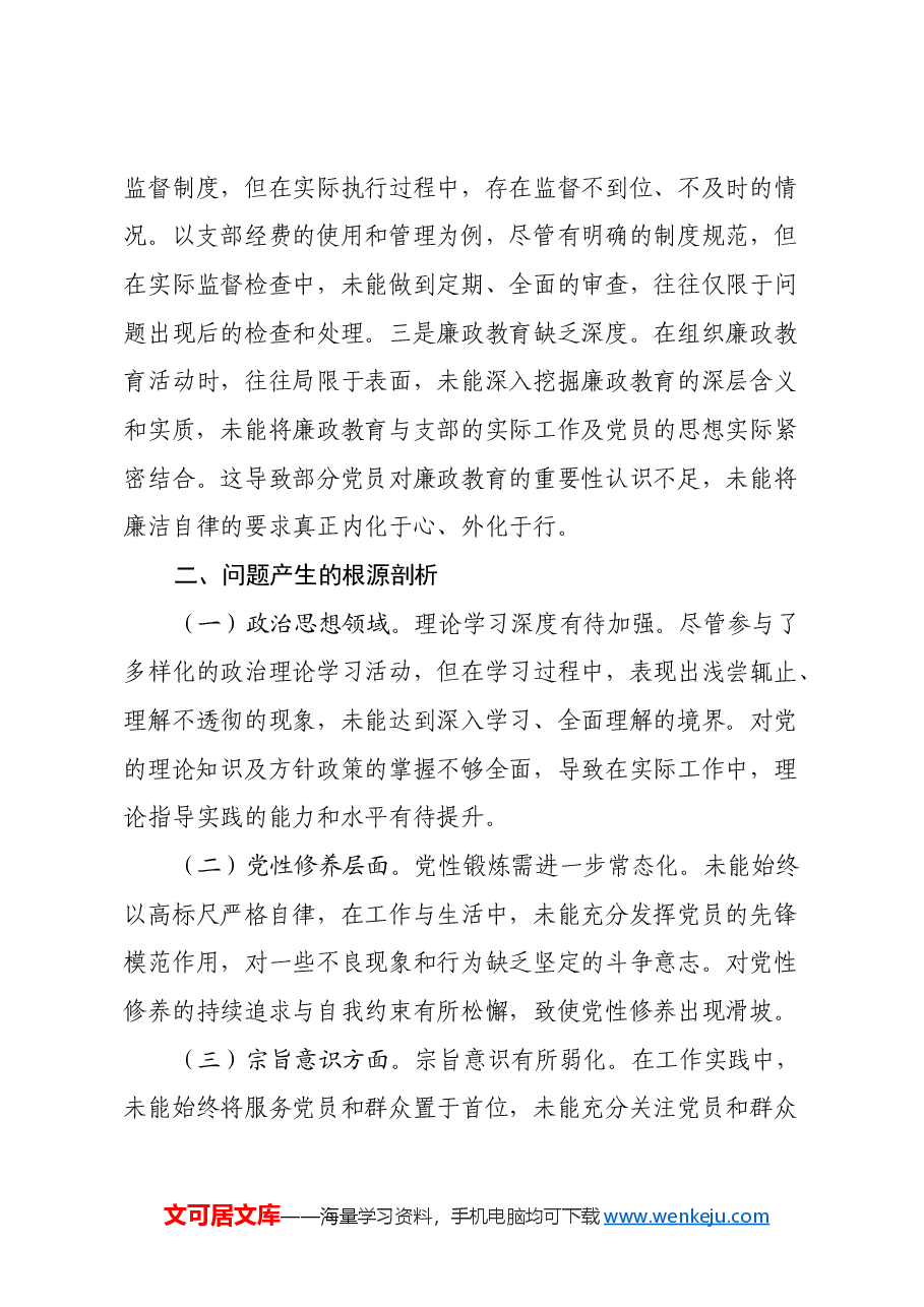 党支部组织委员2024年组织生活会个人对照检查发言材料.docx,第4页预览