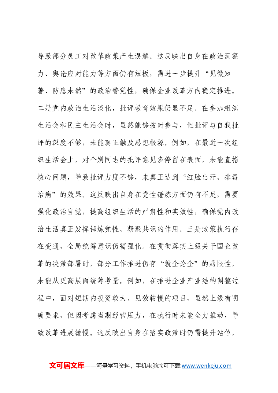国企党委书记2024年度专题民主生活会、组织生活会对照检查材料(四个带头).docx,第2页预览