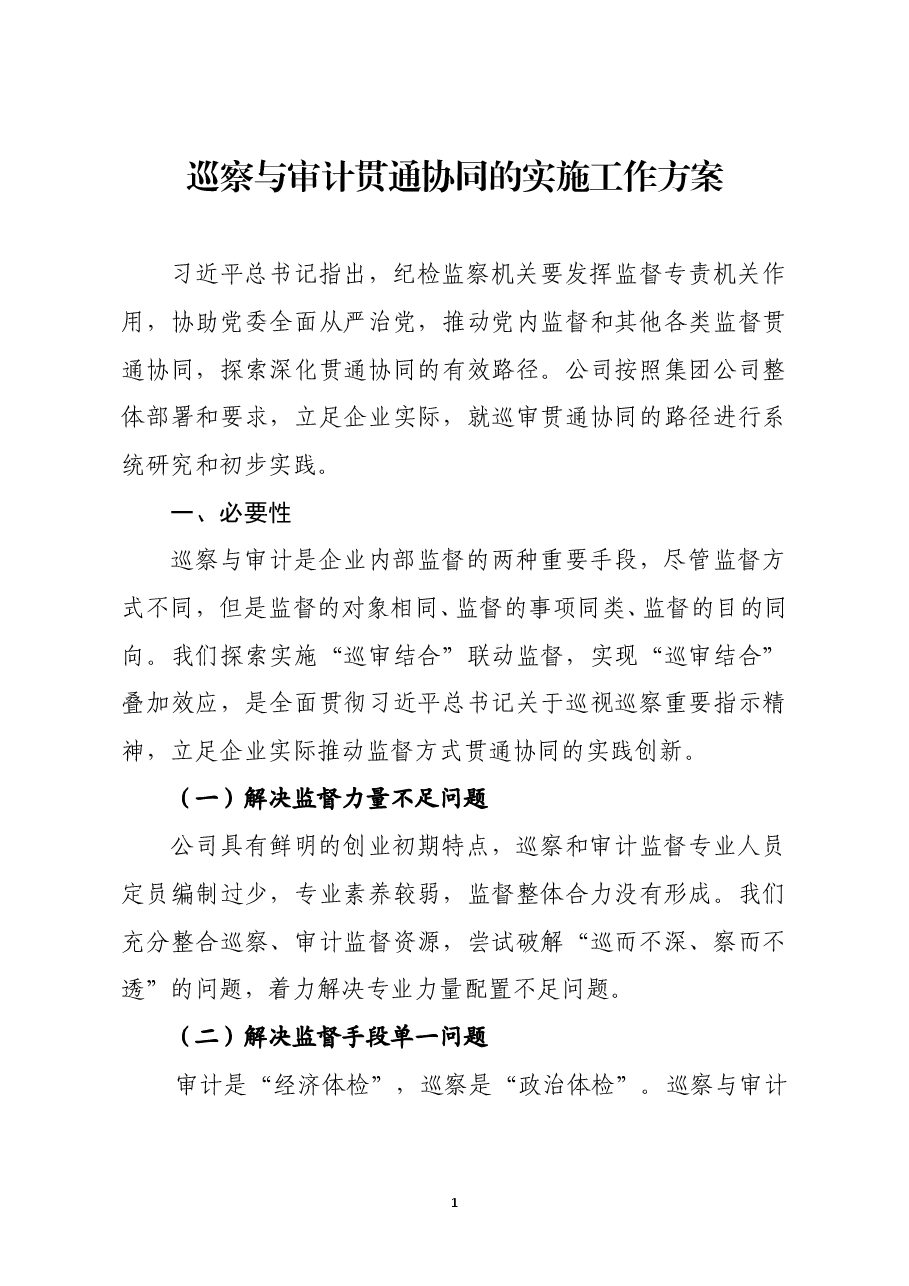 巡察与审计贯通协同实施工作方案.doc,第1页预览