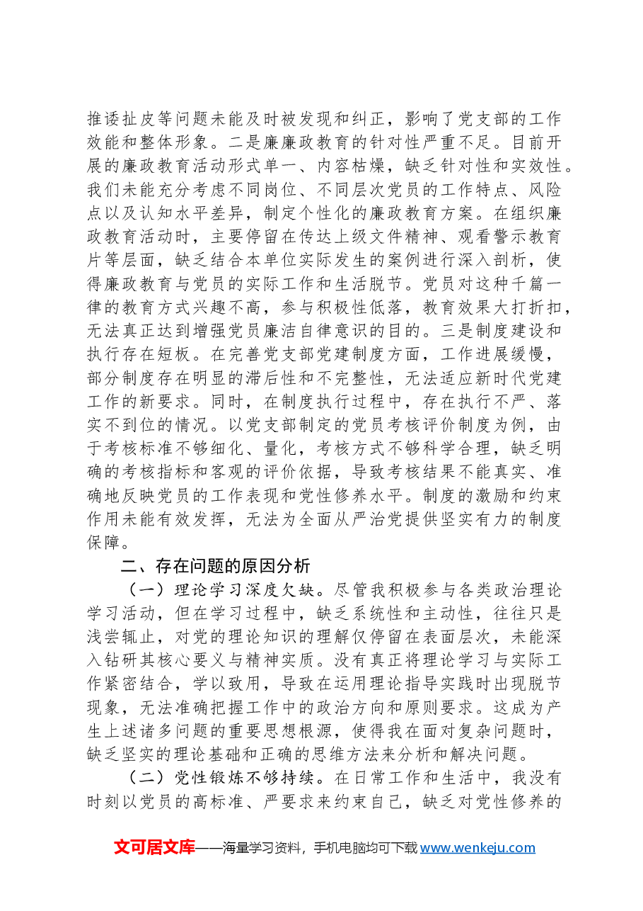 党支部副书记2024年组织生活会个人对照检查发言材料.docx,第4页预览