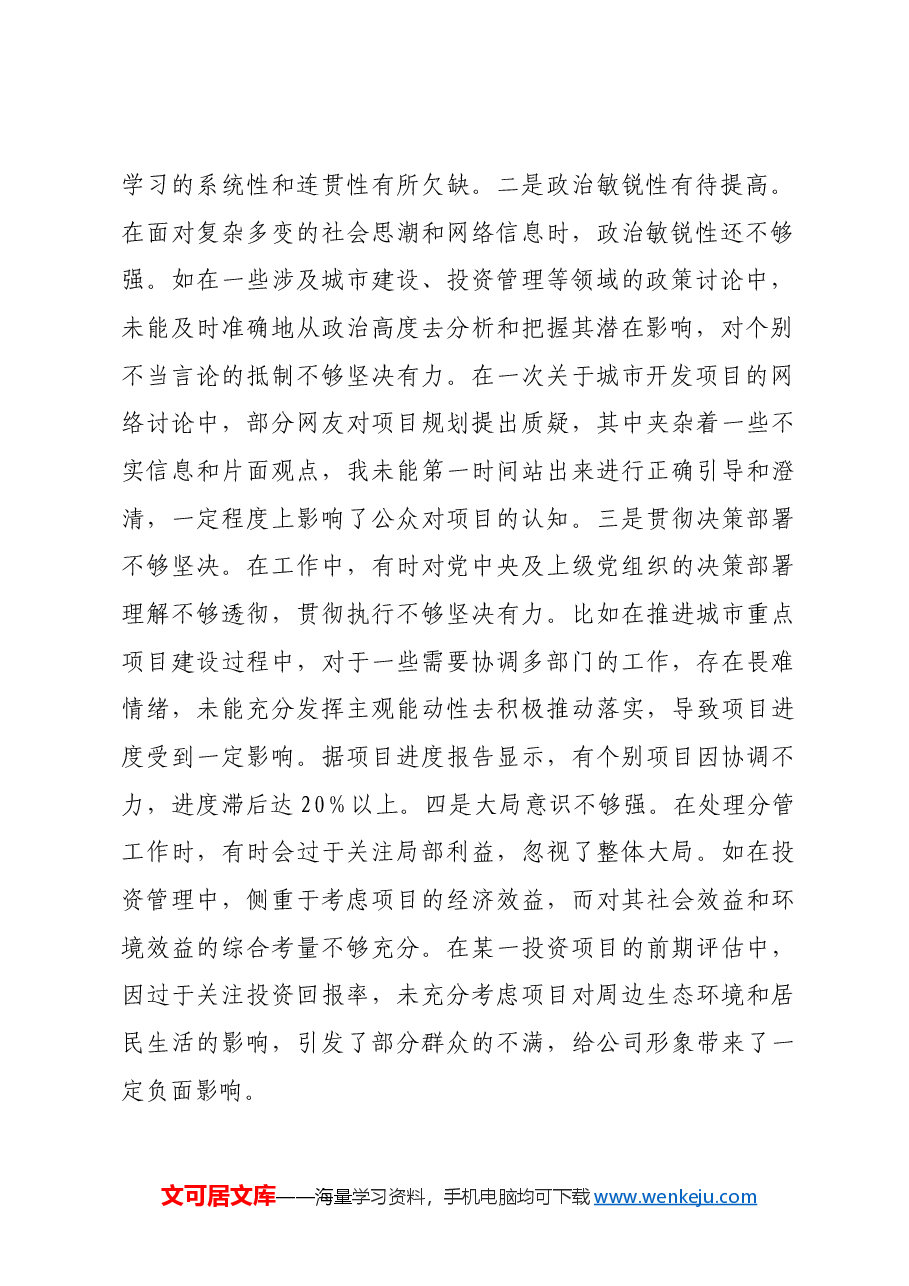 国企城投公司副总经理2024年度民主生活会领导班子对照检视发言材料四个带头 典型案例.docx,第2页预览