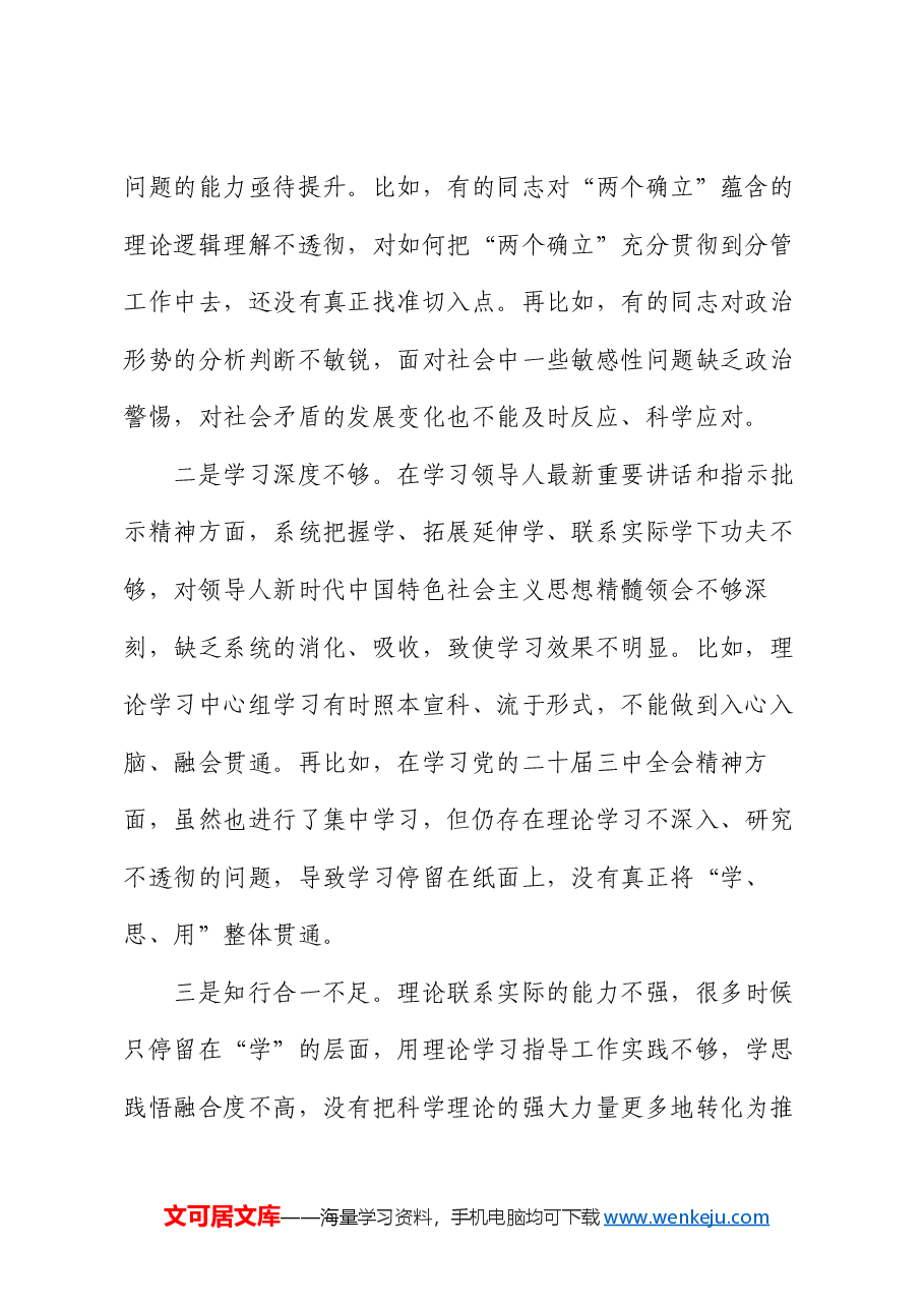 2024年度民主生活会领导班子对照检查材料.docx，第2页预览