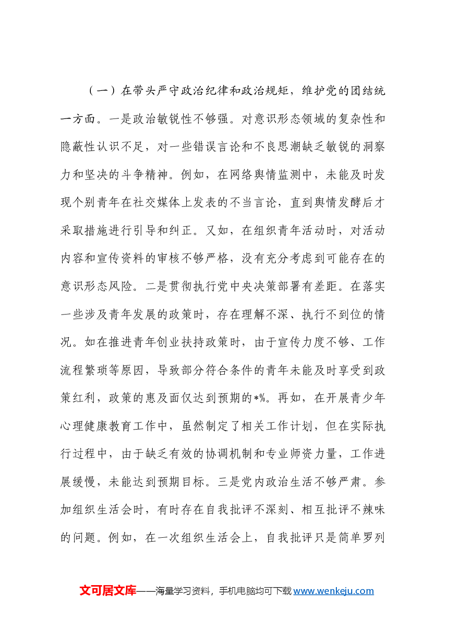 某团市委书记2024年度民主生活会个人对照检视发言材料.docx,第4页预览