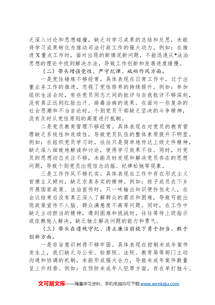 司法系统2024年度民主生活会班子对照检查(含民族共同体).docx,第2页预览
