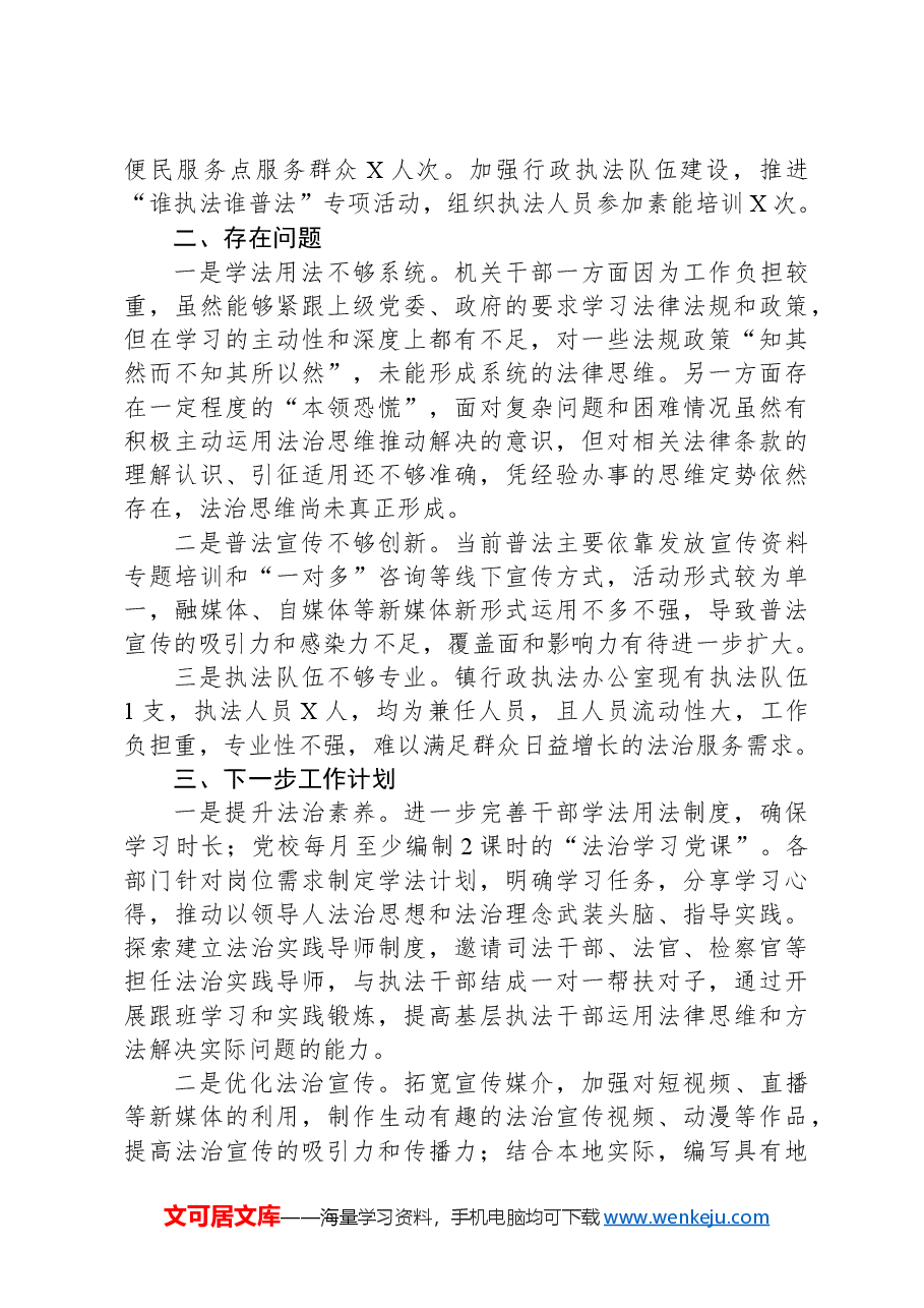 乡镇长2024年度述法报告.docx,第2页预览