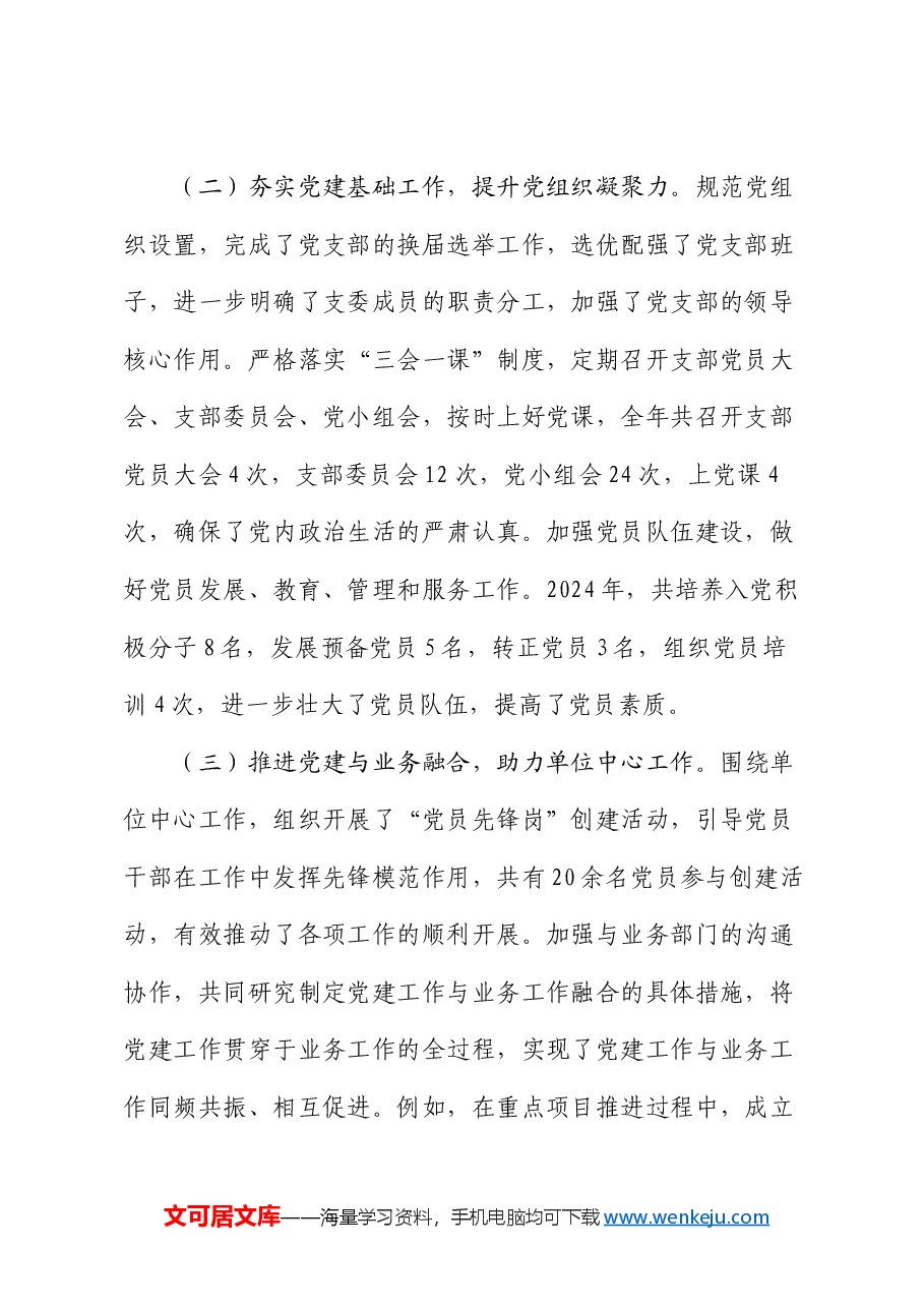 党建办主任2024年个人述职述责述廉报告.docx,第2页预览