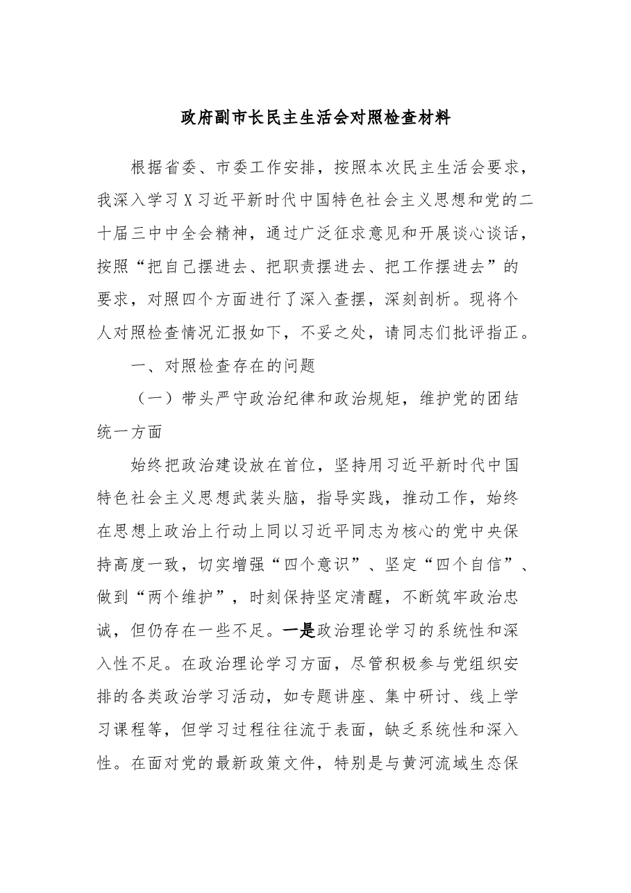 政府副市长民主生活会对照检查材料.docx，第1页预览