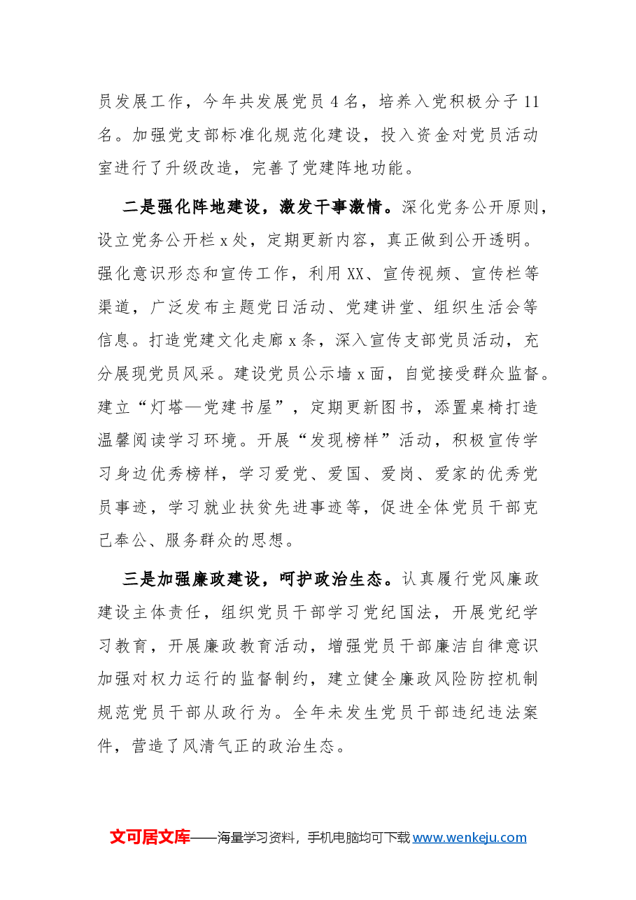 2024年县分局党支部党建工作总结.docx,第3页预览