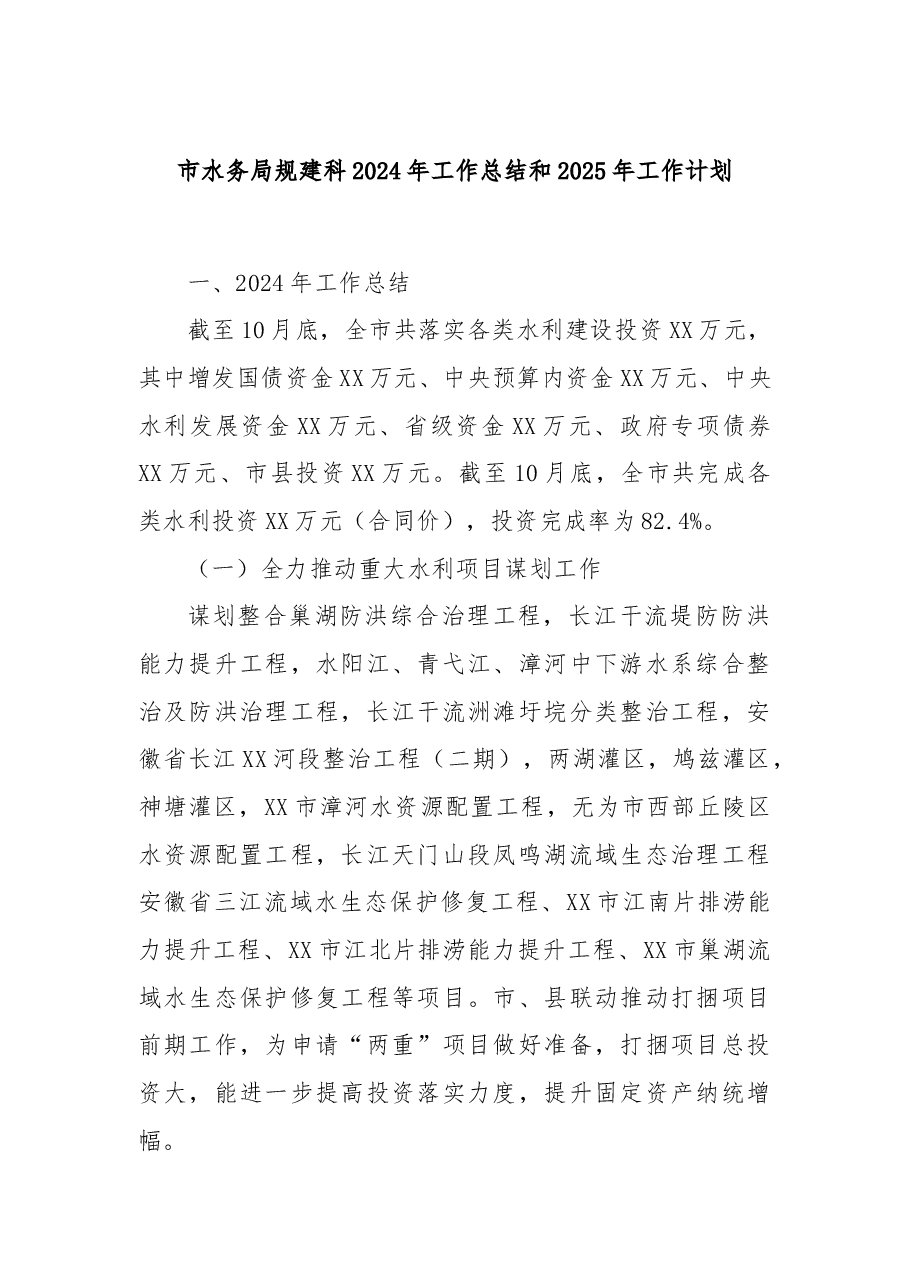 市水务局规建科2024年工作总结和2025年工作计划.docx，第1页预览